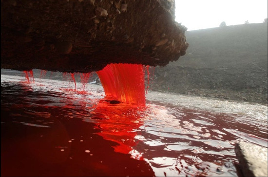 洛阳涧河遭到污染 河水变成血红色(组图)