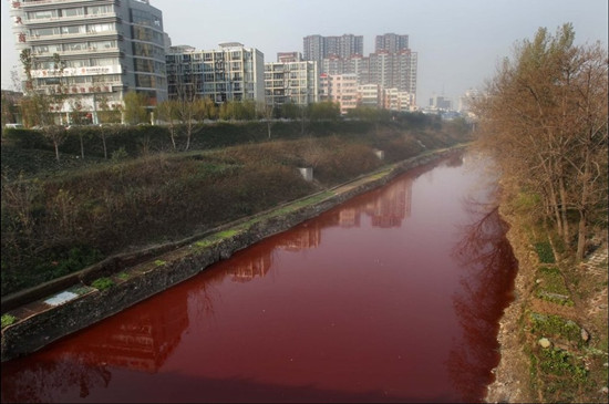 洛阳涧河遭到污染 河水变成血红色(组图)