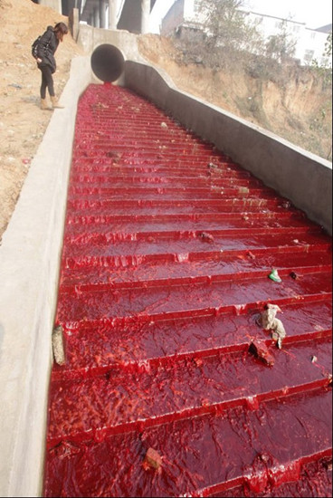 洛阳涧河遭到污染 河水变成血红色(组图)