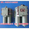 SPL-40C SPL-40 双筒网片式过滤器