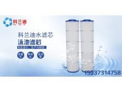 泳池滤芯专业制造可供批发