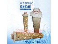 杭州滨特尔大流量水滤芯规格