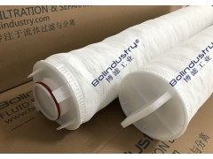 凝结水除铁过滤器大通量保安过滤器滤芯