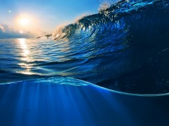 地球上的水正在迅速失去氧气 暗藏巨大环境风险