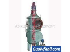 厂家直销GLQ200-25自清洗高效水过滤器