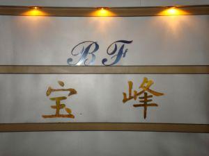 佛山市宝峰高温除尘设备有限公司
