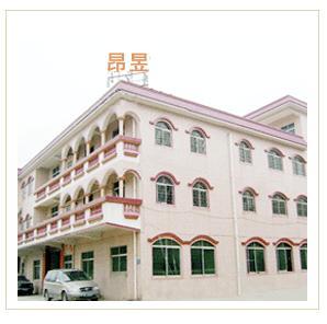 东莞市昂昱电子科技有限公司