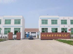 南宫市联华毛毡厂