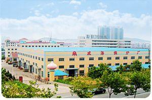 威海市午阳化机有限公司