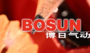 乐清市博日气动器材有限公司